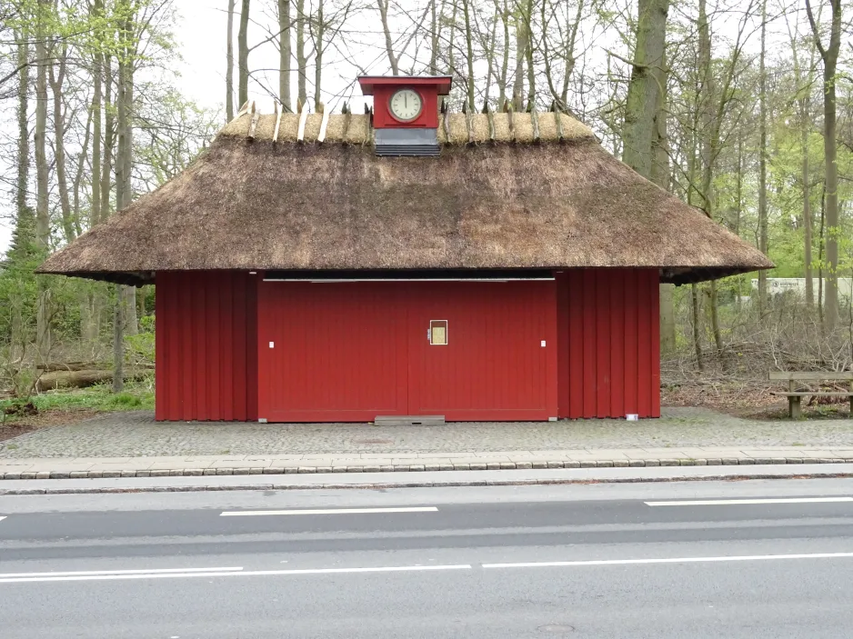 Odense at Hunderup Skov (2024)