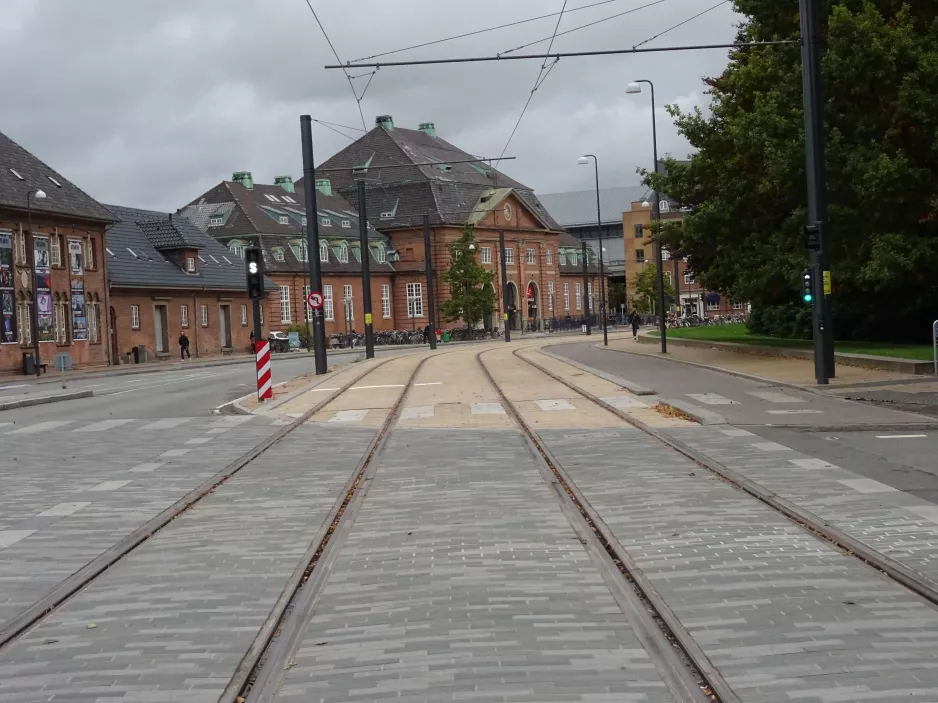 Odense near Banegården/Central Station (2021)