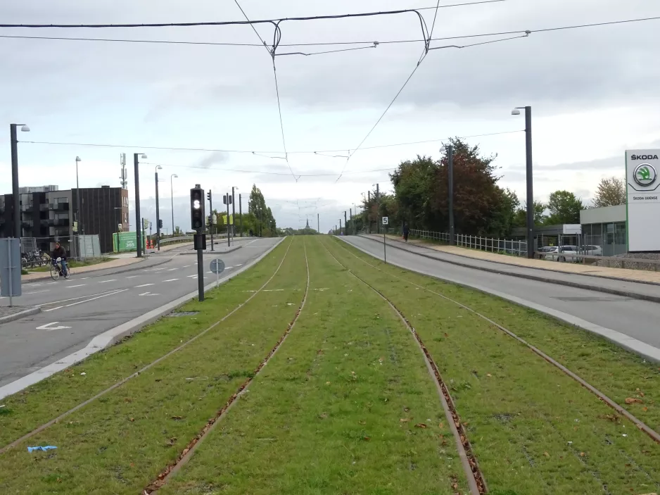 Odense on Middelfartvej (2021)