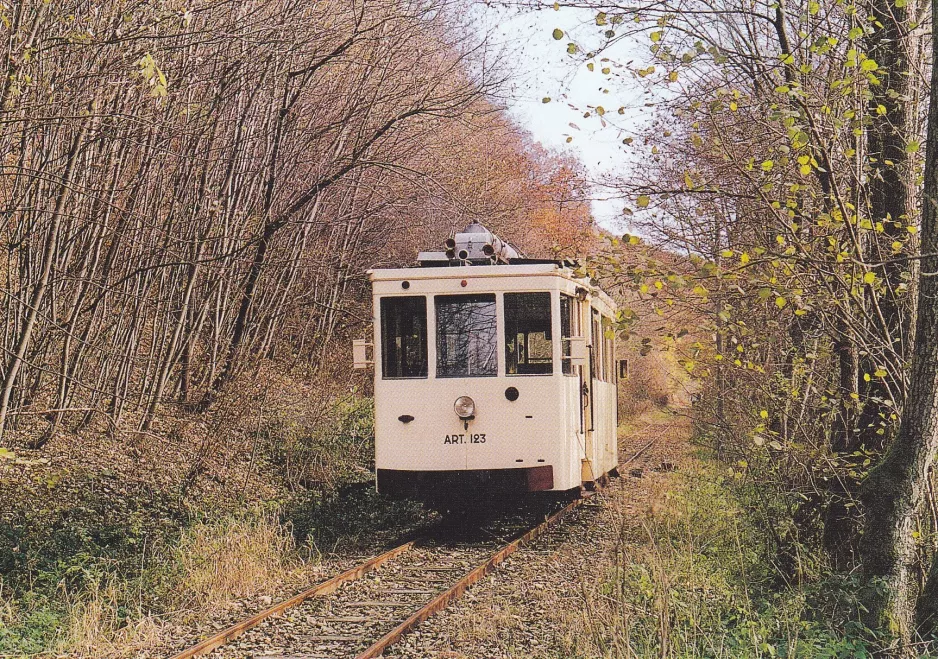 Postcard: Érezée with railcar ART. 123 near Amonines et Dochamps (2010)