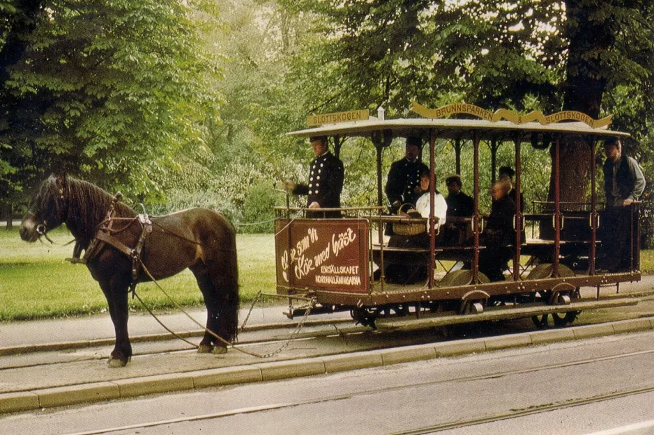 Postcard: Gothenburg open horse-drawn tram on Kungsportsavenyen (1980)