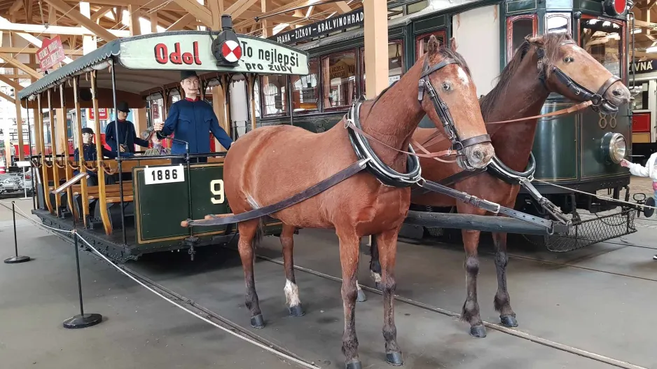 Prague horse tram 90 in Muzeum Městské Hromadné Dopravy (2024)