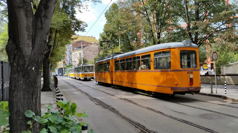 Sofia tram line 22 with articulated tram 4239 on Yanko Sakuzov Boulevard (2014)