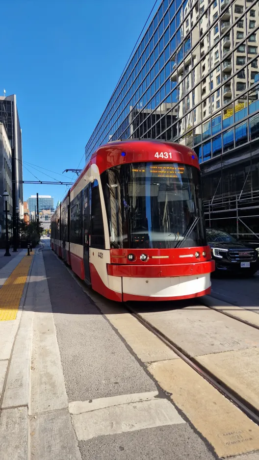 Toronto extra line 503 Kingston Rd with low-floor articulated tram 4431 on Wellington Street West (2024)