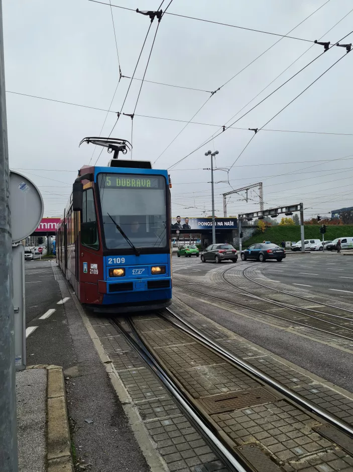 Zagreb tram line 5 with articulated tram 2109 in the intersection Ulica kneza Branimira/Avenija Marina Držića (2022)