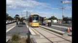 Adelaide Trams (2013)