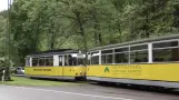 Bad Schandau trams (2010)