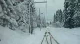 Gråkallbanen - Trondheim Tram (2/2)