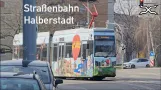 Halberstadt Tram | Tram | 2024 | Trams in Germany