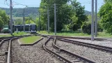 Jena Tram - Einrücker Football Transport Carl Zeiss Jena (2023)