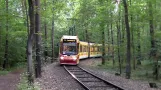 Nuremberg Tiergarten (tram)