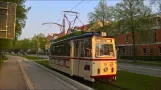 Spring impressions with the Naumburg tram