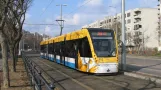 The first day of Debrecen's new tram line 2