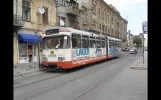 Timişoara tram (Romania) in June 2012