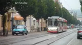 Tram Zwickau & Vogtlandbahn (03.08.2010)