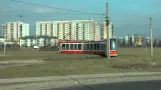 Trams Częstochowa 08.03.2014