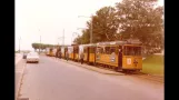 Trams in Aarhus (1963)