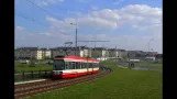 Trams in Gdansk (2013)