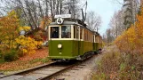 Trams in Malmköping - Autumn 2024