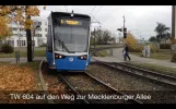 Trams in Rostock (2015)