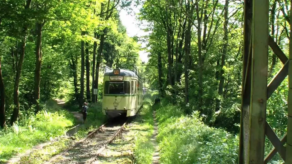 20th Bergisches Tram Festival / Bergisches Museum Railway (HD)