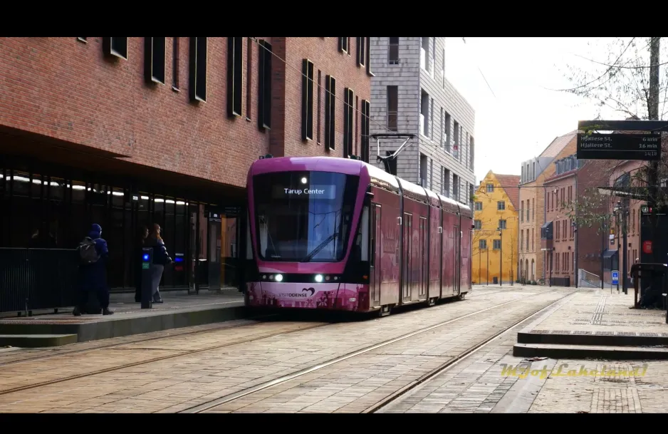 Bus & Rail Observations of Odense, Denmark 🇩🇰 (November 2024)