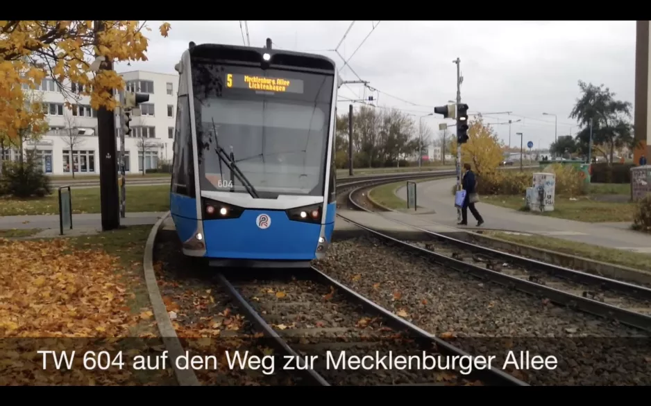 Trams in Rostock (2015)