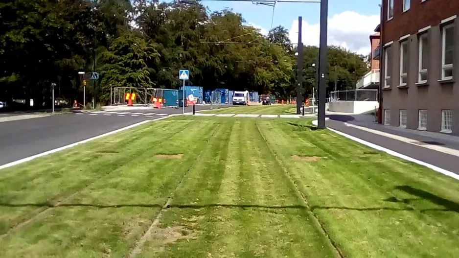 Tramway in Lund with grass