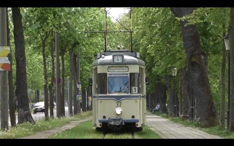 "Wilde Zicke": Germany's smallest tram in Naumburg, Saale (2019)